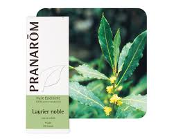 NEMES BABÉR – LAURUS NOBILIS 5ML